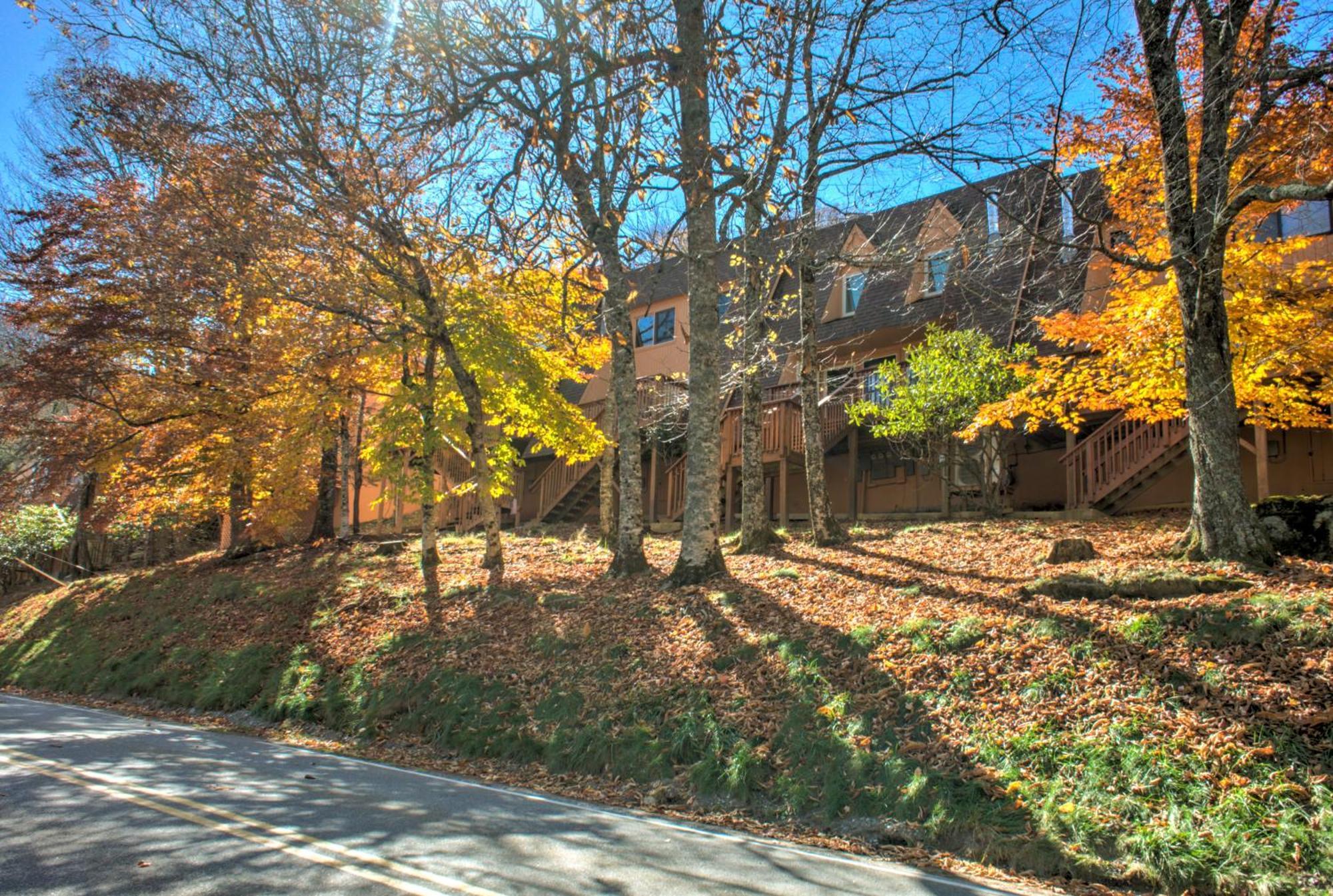 Cedar Village Condominiums Бич Маунтин Экстерьер фото